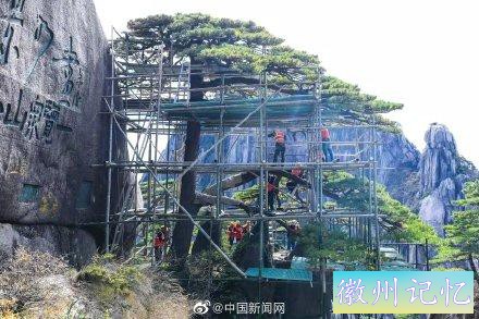 黄山千年迎客松体检报告出炉-4.jpg