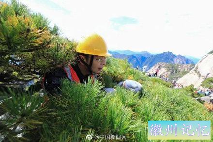 黄山千年迎客松体检报告出炉-2.jpg