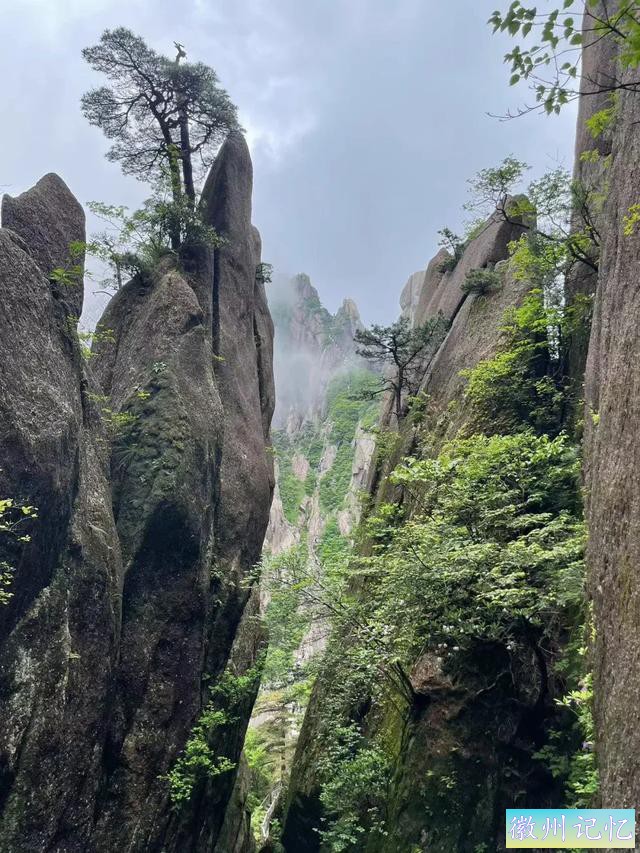 天都峰：黄山之巅，云端之上的仙境！-6.jpg
